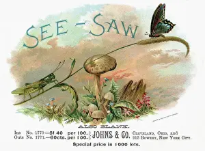 Prices Prints: Sea-Saw Cigar Box Cover With Insects