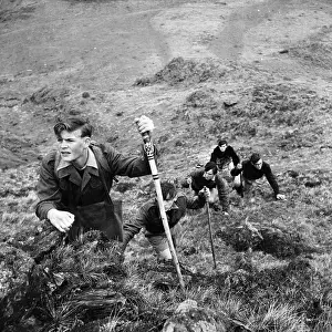 Move Prints: Sea School Hike