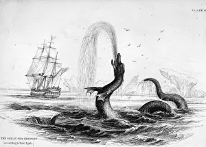 Sea Serpent