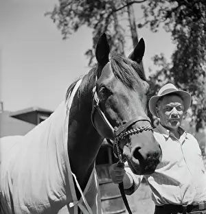 Seabiscuit