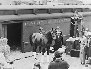 Racehorse Prints: Seabiscuit Arriving at Belmont for Match Race