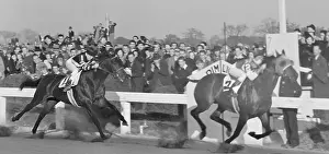 Seabiscuit Beats War Admiral at Pimlico