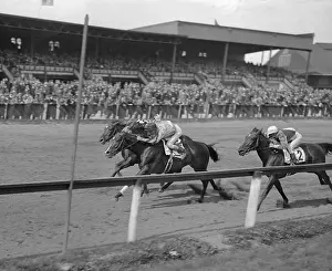 Jockey Prints: Seabiscuit in Pack at Aqueduct Racetrack