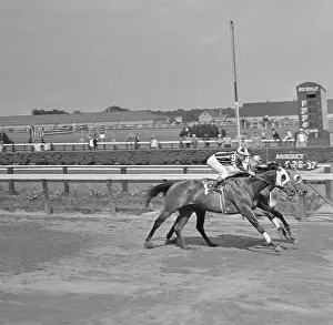 Jockey Prints: Seabiscuit Wins By a Nose