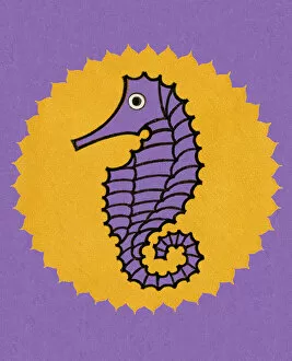Illustration And Painti Gallery: Seahorse