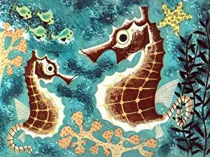 Seahorses in an Aquarium
