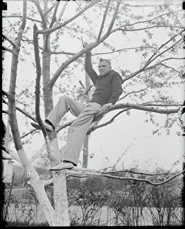 Treetop Prints: Seaman Watson Sitting in Tree