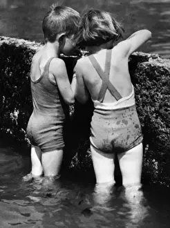 Seaside Friends