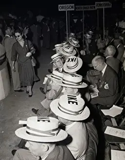 Straw Prints: Seated Delegates W/Straw Ike Hats