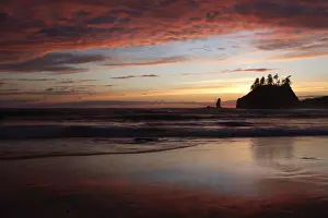 Environmentalism Prints: Second Beach at La Push, Olympic Coast, Washington, USA
