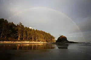 Phenomenon Prints: Second Beach at La Push, Olympic Coast, Washington, USA