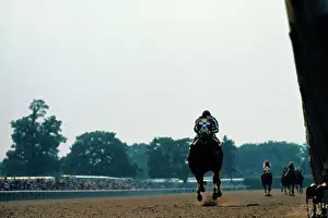 Secretariat the Horse Running on Track
