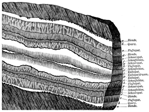 Section Gallery: Section of a terrain