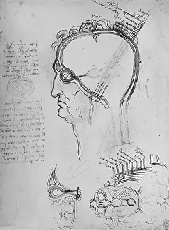 Vision Prints: Sections of a Man's Head Showing the Anatomy of the Eye, Etc. c1480