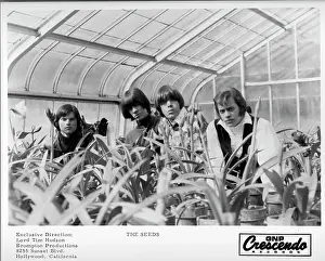 The Seeds