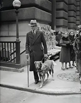 Blind Prints: Seeing Eye Dog Leading Man in New York City