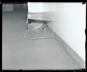 Seeking Shelter from the Cold