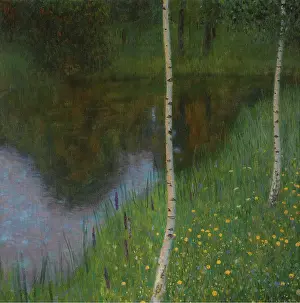 Seeufer Mit Birken (Lakeshore With Birches)