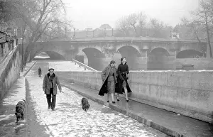 Domestic Anima Prints: By The Seine
