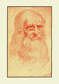 Leonardo Da Vinci (1452-1519) Gallery: Self Portrait of Leonardo Da Vinci