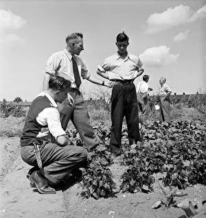 Cultivated Plants Prints: Self Sufficient