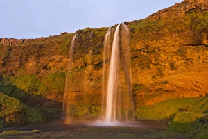 Images Dated 20th August 2011: Seljalandsfoss waterfall in the evening light, Seljalandsfoss, Iceland