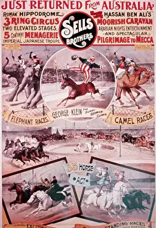 Sells Brothers Circus Poster