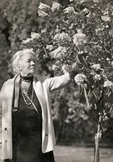 Selma Lagerlof Picking Flowers