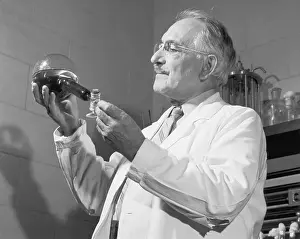 Beaker Prints: Selman Waksman Working in Laboratory