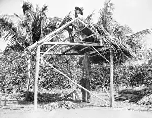 Everyday Scene Prints: Seminole Indians Making Thatched Hut