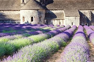 Landmark Collection: Senanque Sabbey Landscape with its lavender field, Provence