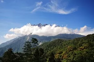 Tropical Tree Gallery: Senic view of Mount Kinabalu, Sabah Borneo, Malaysia