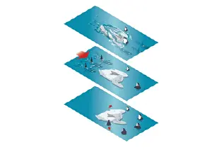 Risk Prints: Sequence of digital illustrations showing Killer Whales (Orcinus orca) wave hunting for seals resting on ice floes