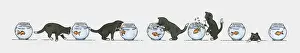 Kitten Prints: Sequence of illustrations showing black kitten and goldfish in bowl