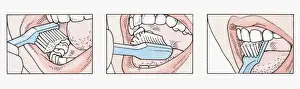 Mouth Open Prints: Sequence of illustrations showing how to brush teeth correctly using toothbrush
