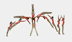 Gymnastics Prints: Sequence of illustrations showing female gymnast competing on vault