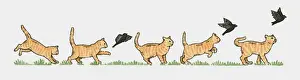 Jumping Prints: Sequence of illustrations showing ginger cat and blackbird