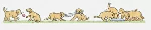 Sequence of illustrations showing Labrador puppies playing outside