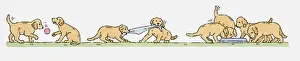 Sequence Prints: Sequence of illustrations showing Labrador puppies playing outside