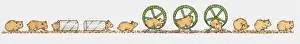 Cylinder Prints: Sequence of illustrations showing playful guinea pig in toilet paper tube and exercise wheel