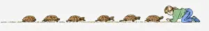 Sequence of illustrations showing tortoise slowly walking toward girl kneeling down