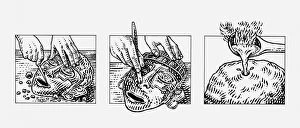 Images Dated 13th July 2010: Series of black and white illustration of how Aztec masks were made using gold