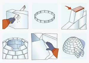 Images Dated 19th October 2010: Series of illustrations showing how to construct an igloo
