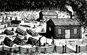 Log Cabin Prints: Settlers Clearing Forest For Log Cabin