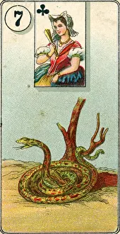Seven of Clubs, Snake, Fortune Telling series, full deck of playing cards, Carreras Ltd Tobacco, 1926