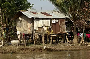 Images Dated 19th November 2011: Shack, corrugated iron hut at the Sangker River, near Battambang, Battambang Province, Cambodia