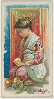 Shaddock Trade Card 1891