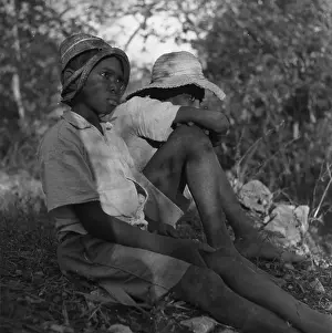 Greater Antilles Prints: In The Shade