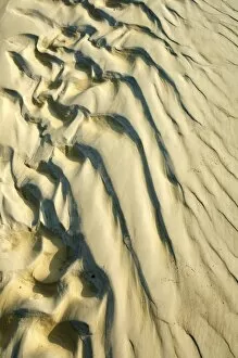 Marking Gallery: Shadow patterns in the sand