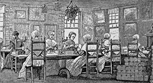 Shaker Prints: Shaker Women Preparing Medicinal Herbs